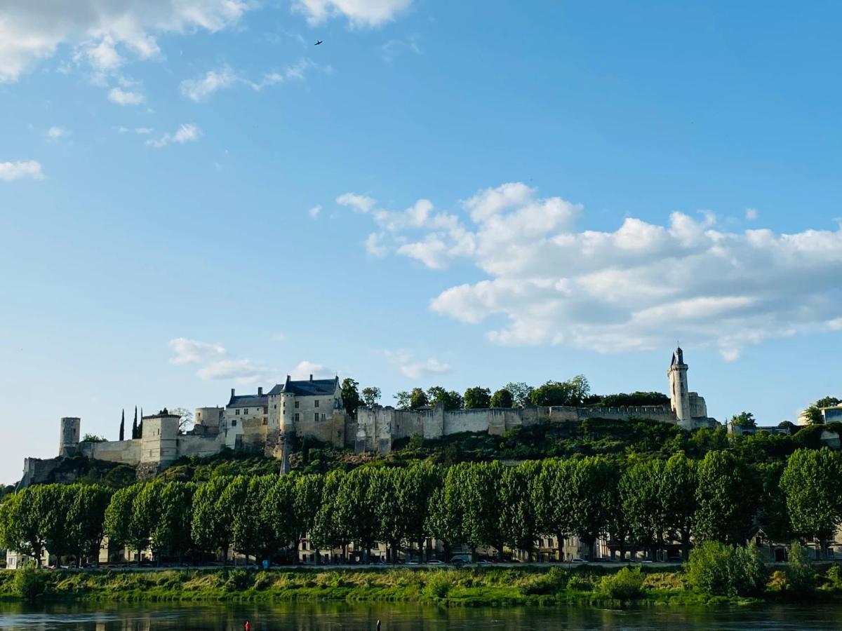 L'écrin de Verdure Ligré Exterior foto